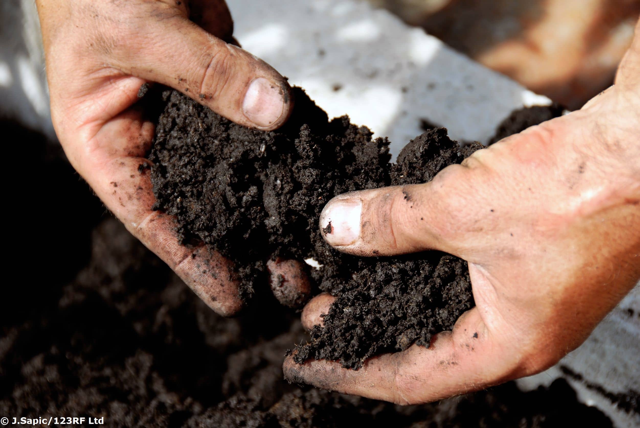 close up of dark soil held in a man's hands outdoors.