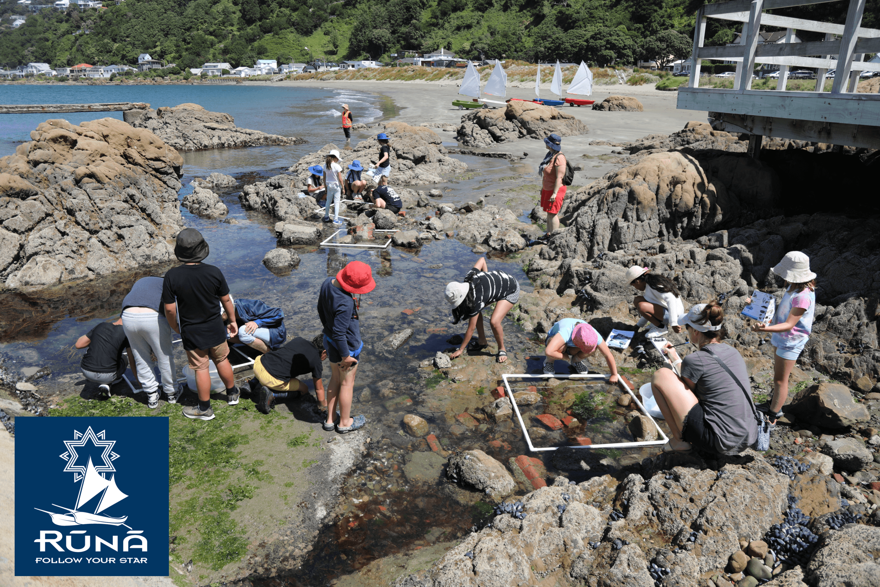 A class down at a rocky shoreline doing quadrat samples.