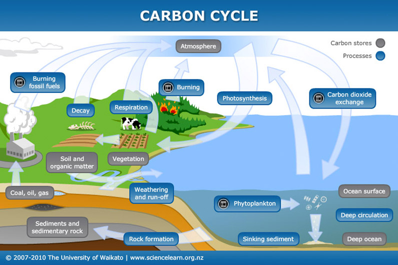 The Ocean And The Carbon Cycle Science Learning Hub