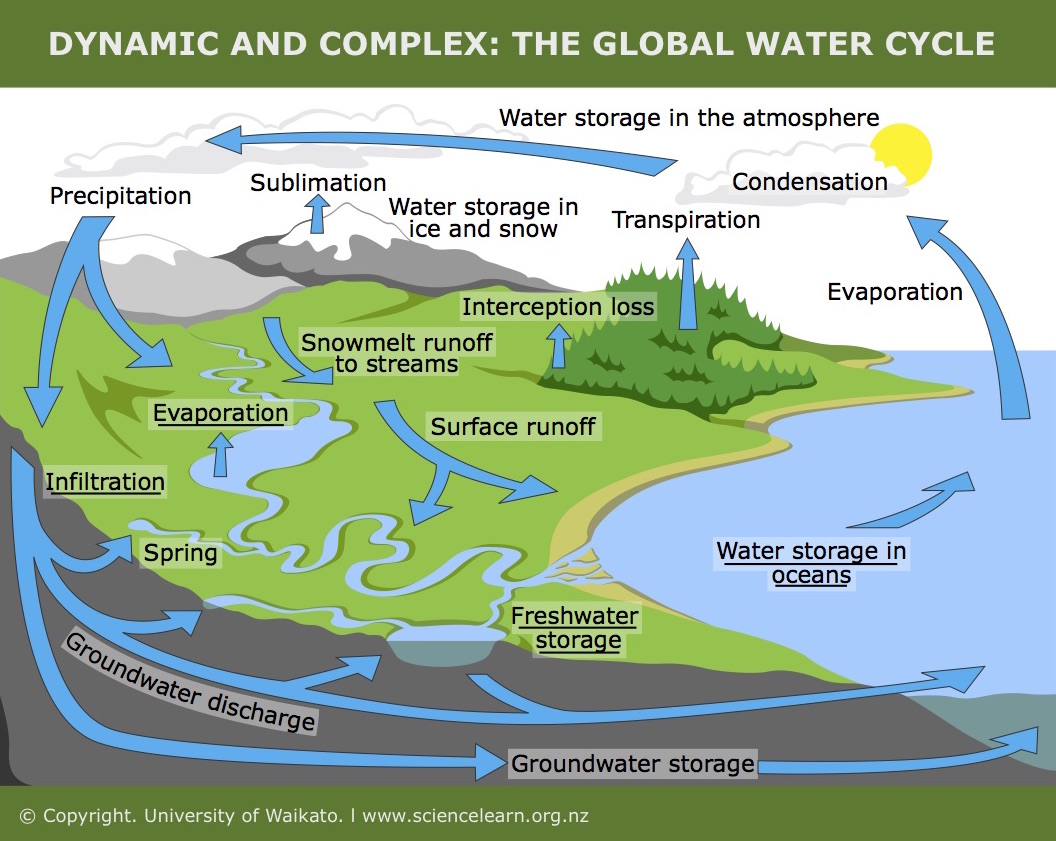 Image result for Diagram of how deforestation affects the water cycle