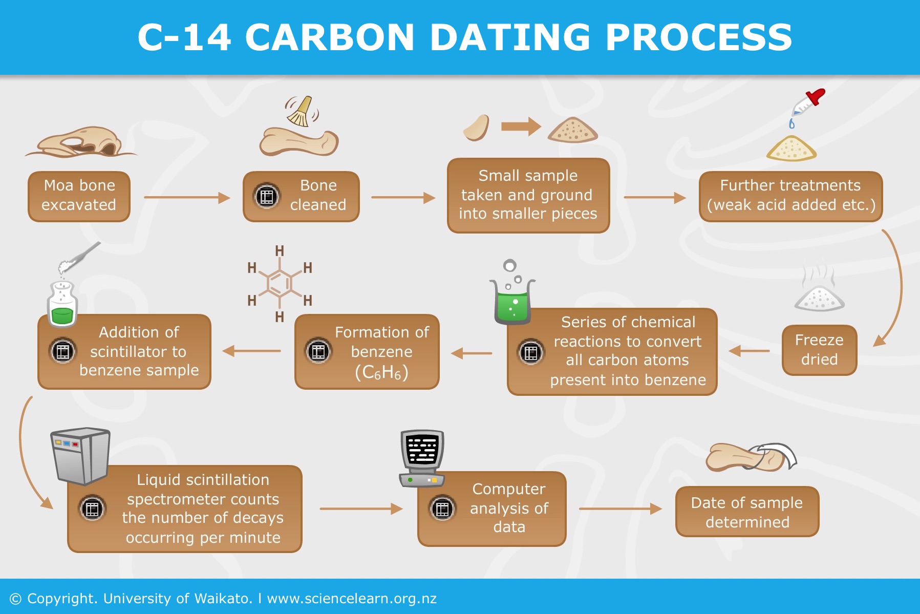 Use of carbon 14 in radiocarbon dating