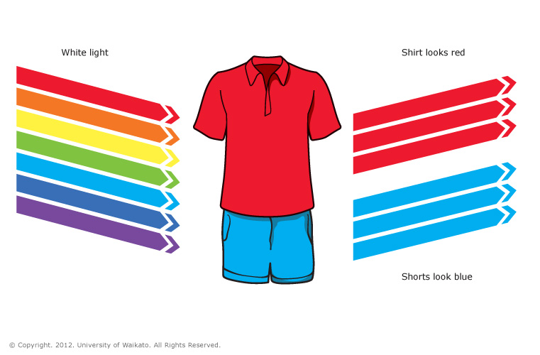 Red shirt and blue shorts — Science Learning Hub
