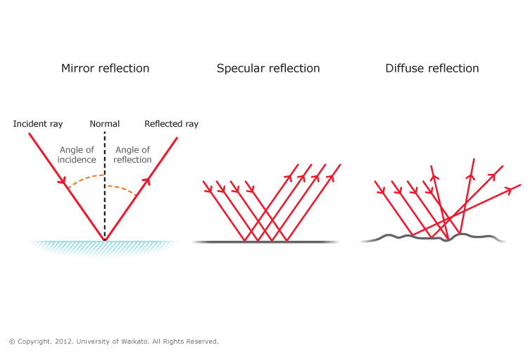 Types of reflection — Science Learning Hub upwards gardening diagrams 