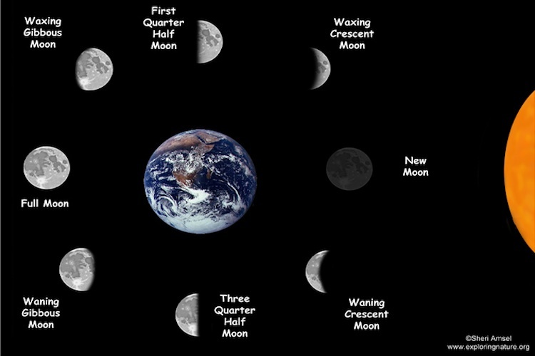 Moon phases — Science Learning Hub