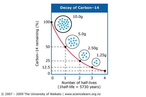 Why is carbon 14 used for radioactive dating